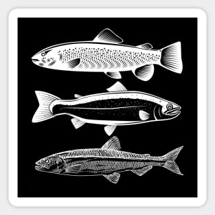 Types Of Trouts Sticker